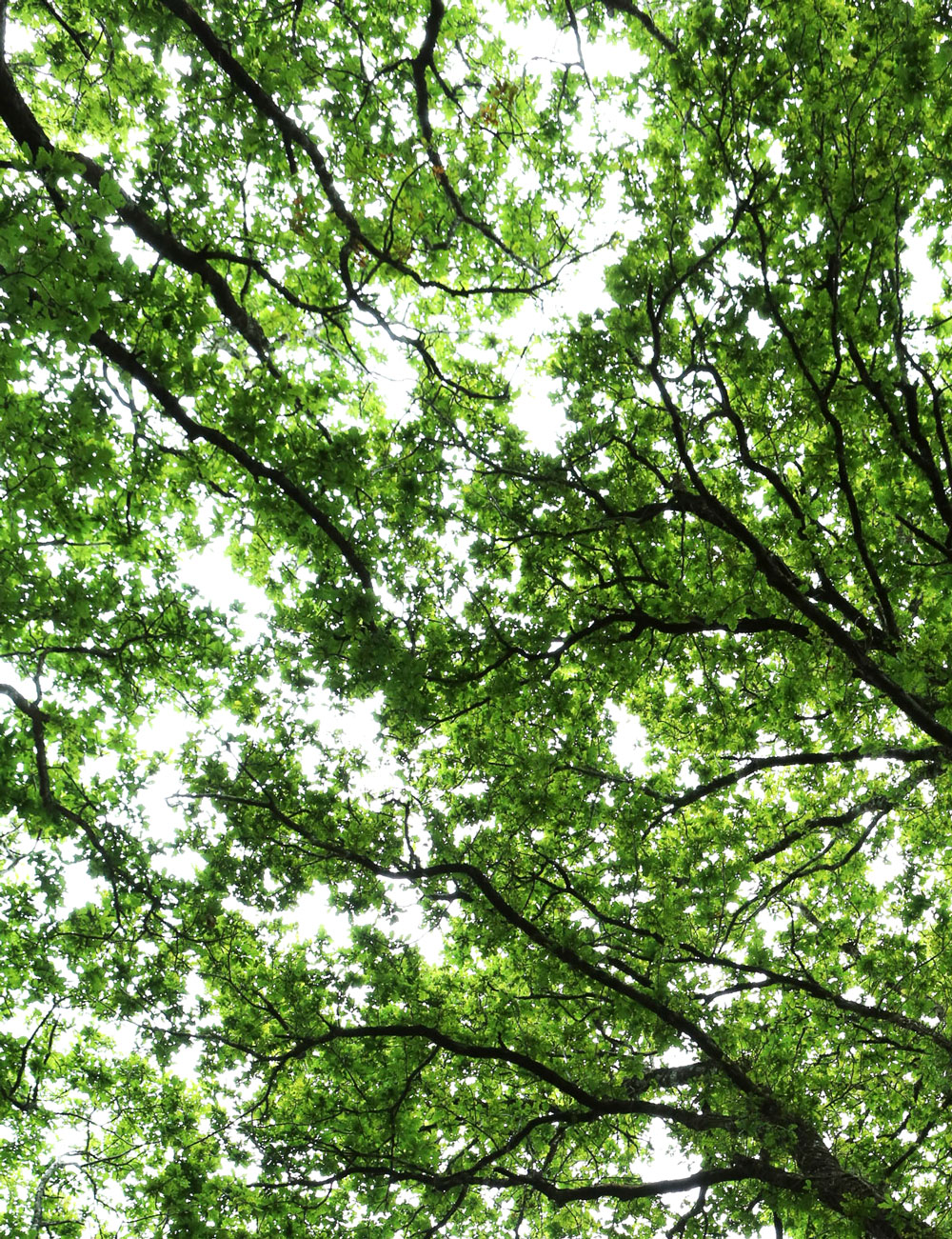 offre développement durable